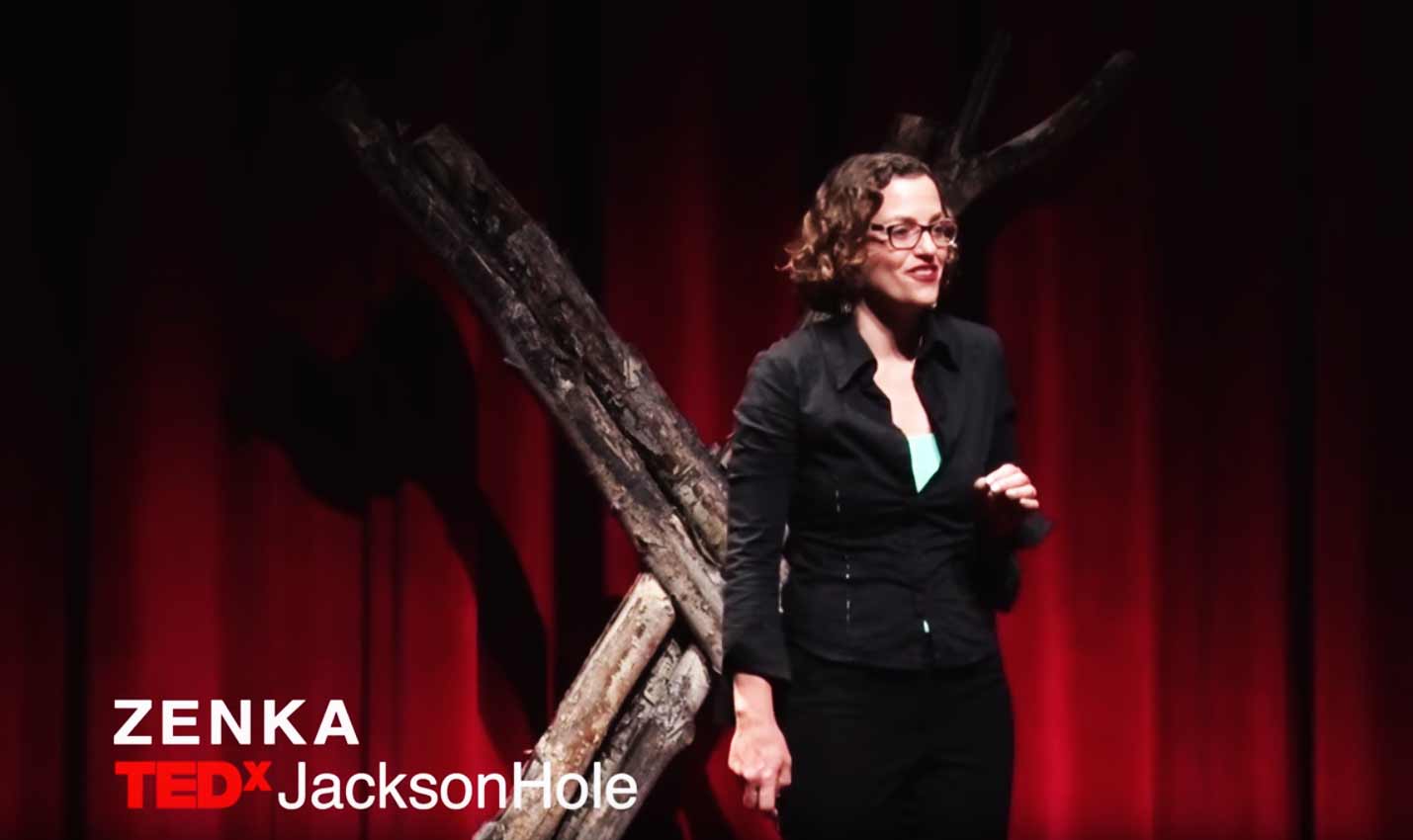 Will virtual and augmented reality move us into the knowledge age? | Zenka | TEDxJacksonHole